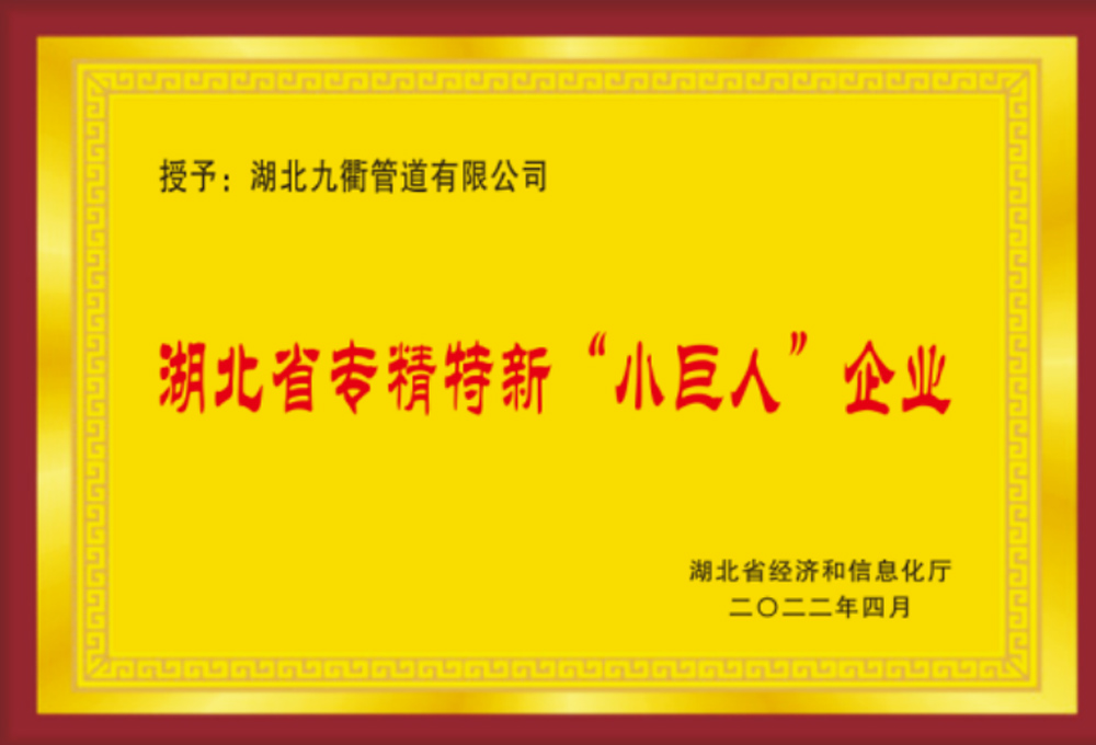 專(zhuān)精特新“小巨人”企業(yè)